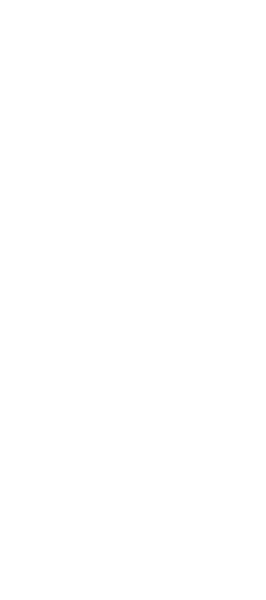 Holz Span